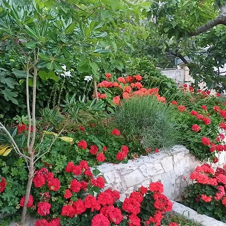 Apartment Jaksic *