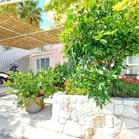 Jaksic Apartment